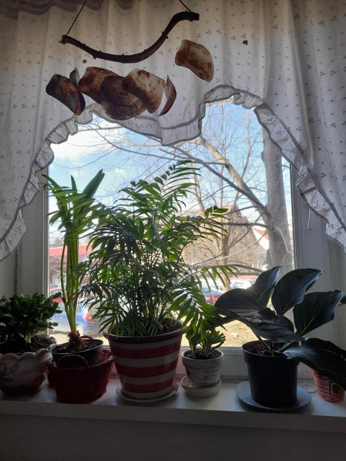 Apartament Anca Timişoara Buitenkant foto