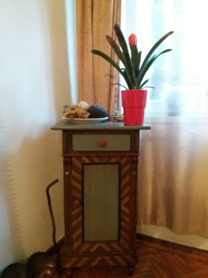 Apartament Anca Timişoara Buitenkant foto