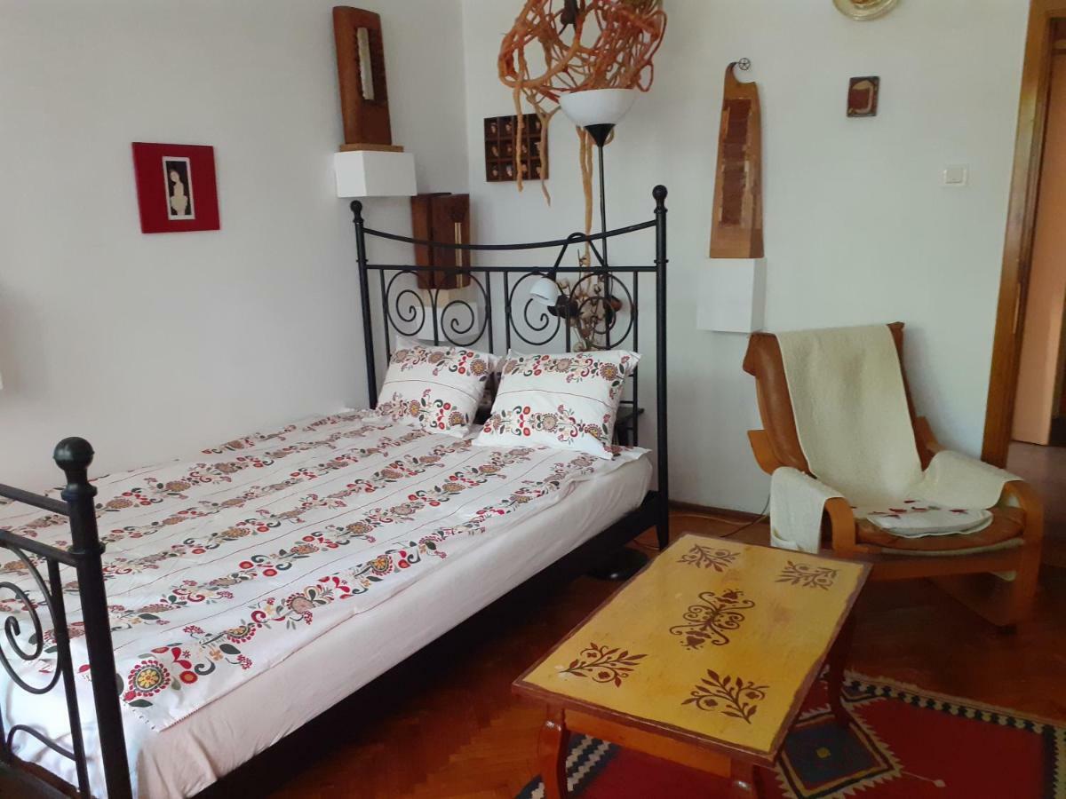 Apartament Anca Timişoara Buitenkant foto